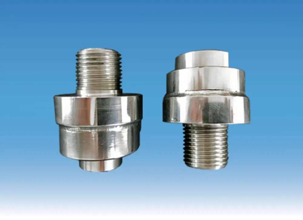 DIAPHRAGM SEALS 1/2" THREADED CONNECTION (MOD. SM12)