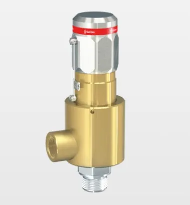 Safety Valves 492GOX