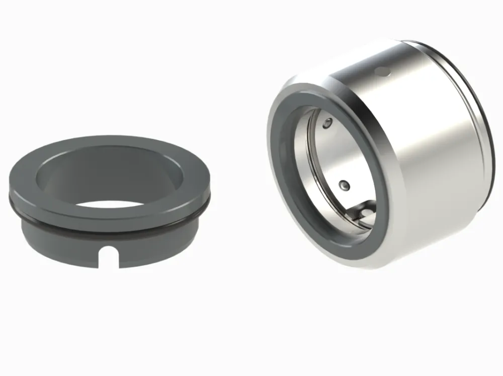 Standard mechanical seals MSG EHSKS