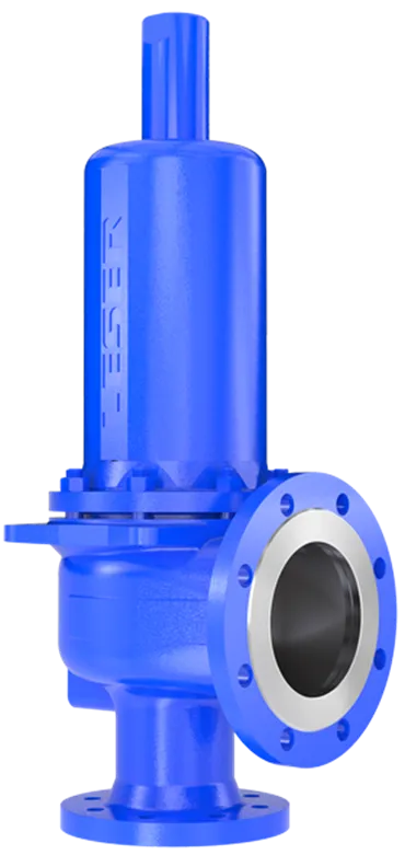 Full lift safety valve TLV TYPE 441 442 DIN